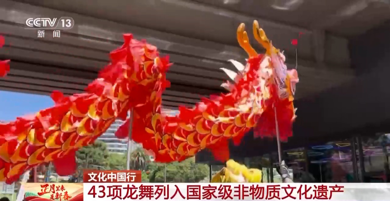 、百叶龙……来看不拘一格的龙舞之美冰球突破文化中国行丨火龙、板凳龙(图14)