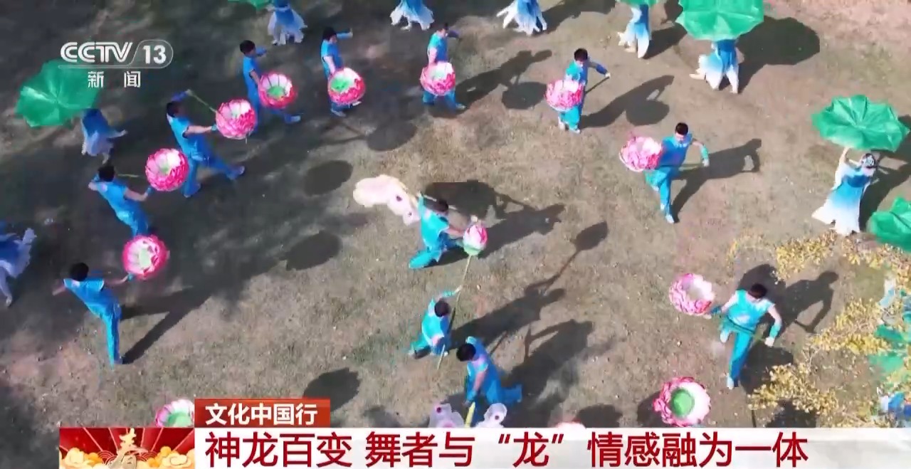 、百叶龙……来看不拘一格的龙舞之美冰球突破文化中国行丨火龙、板凳龙(图2)
