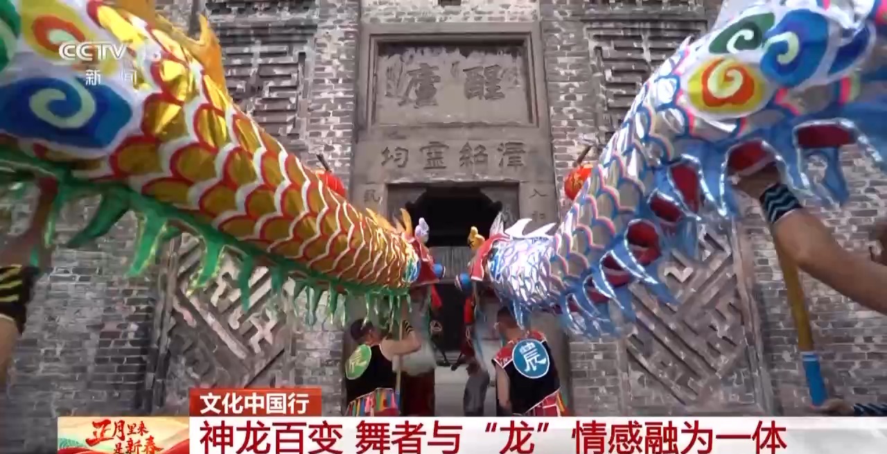、百叶龙……来看不拘一格的龙舞之美冰球突破文化中国行丨火龙、板凳龙(图9)