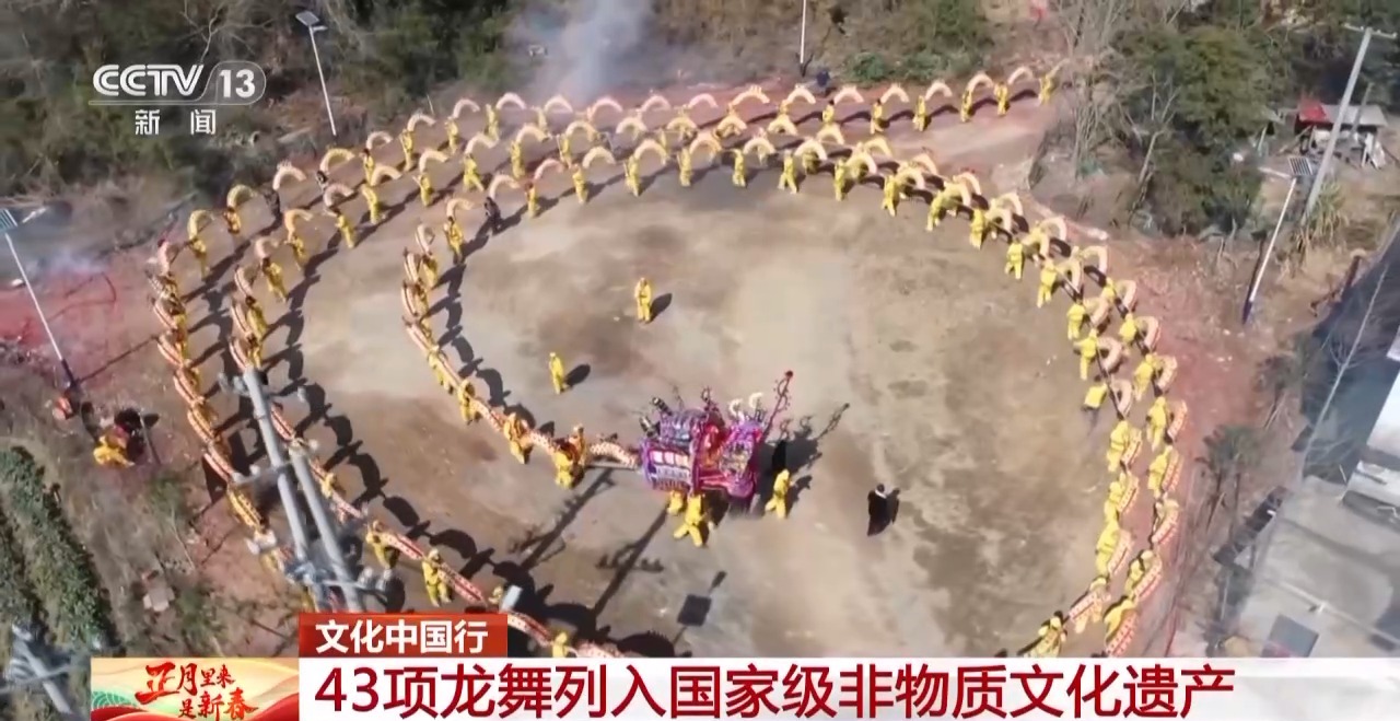 、百叶龙……来看不拘一格的龙舞之美冰球突破文化中国行丨火龙、板凳龙(图6)